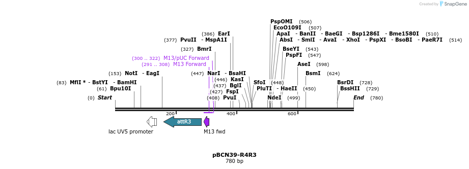 44838_map