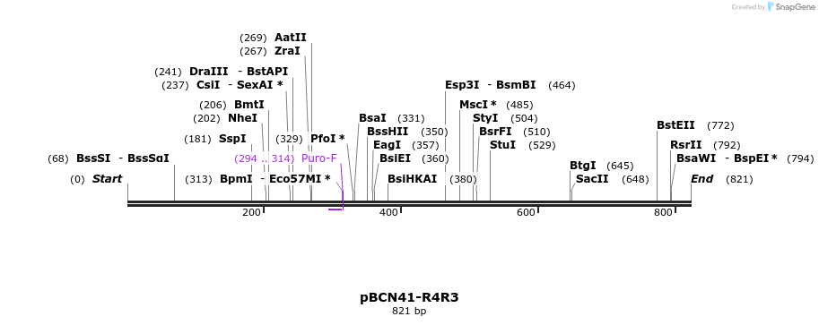 44847_map