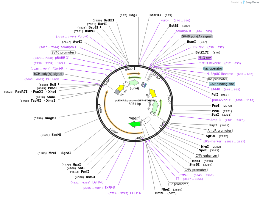 448479_map