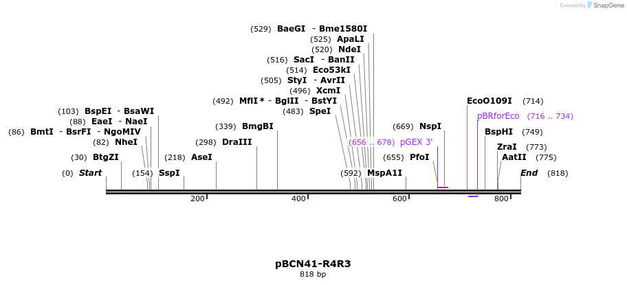 44848_map