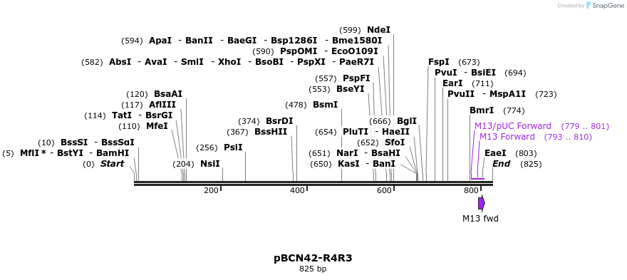 44849_map