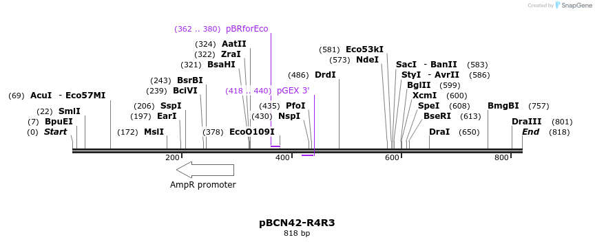 44850_map