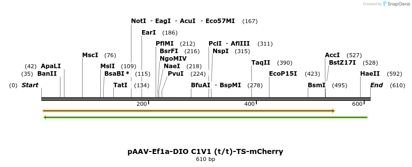 44851_map