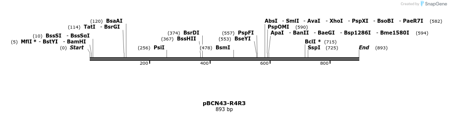 44852_map