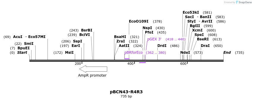 44854_map