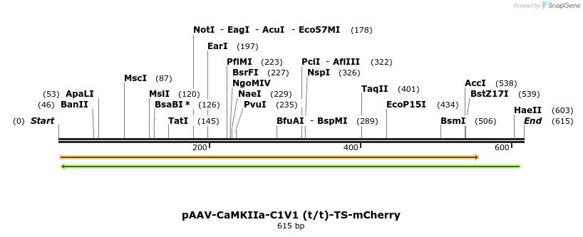 44855_map