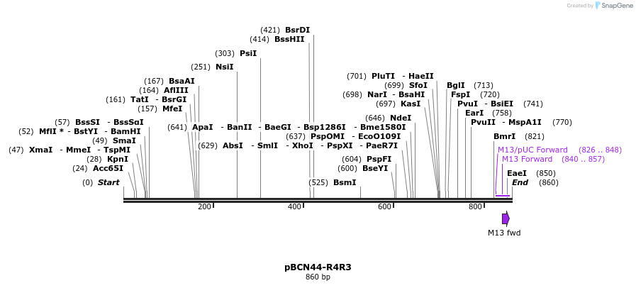 44858_map