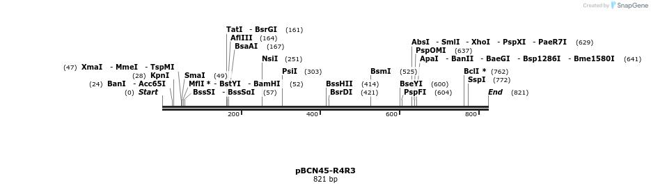 44861_map