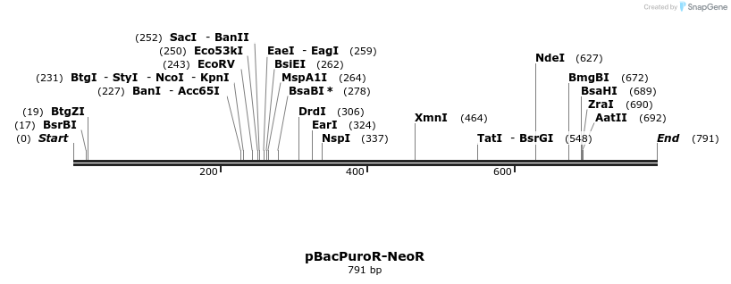 44865_map
