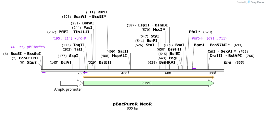 44867_map