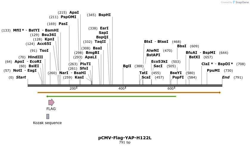 44870_map