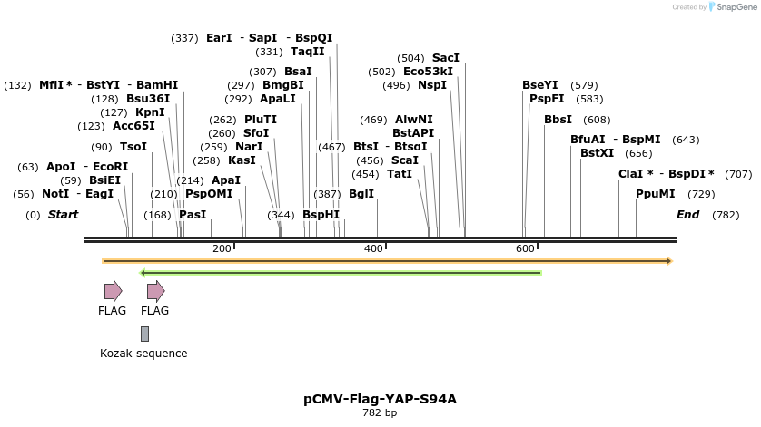 44874_map