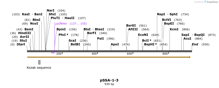44877_map