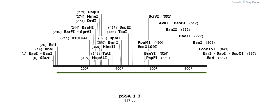 44878_map