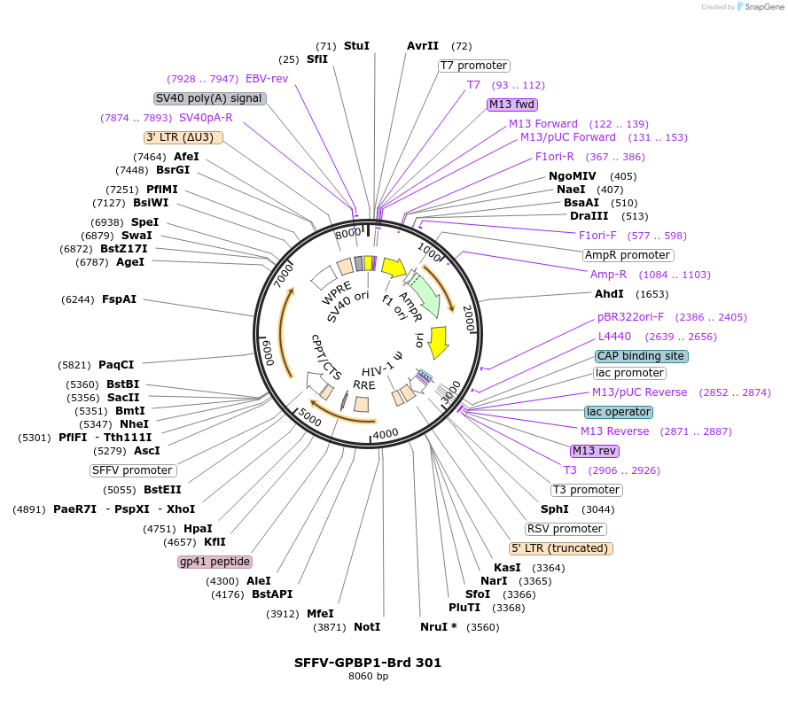 449005_map