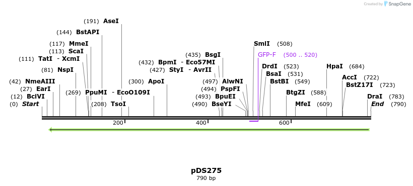 44901_map