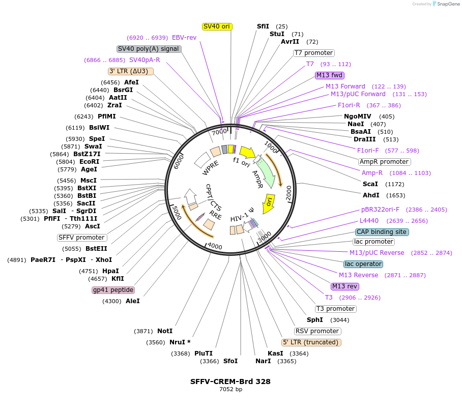 449018_map
