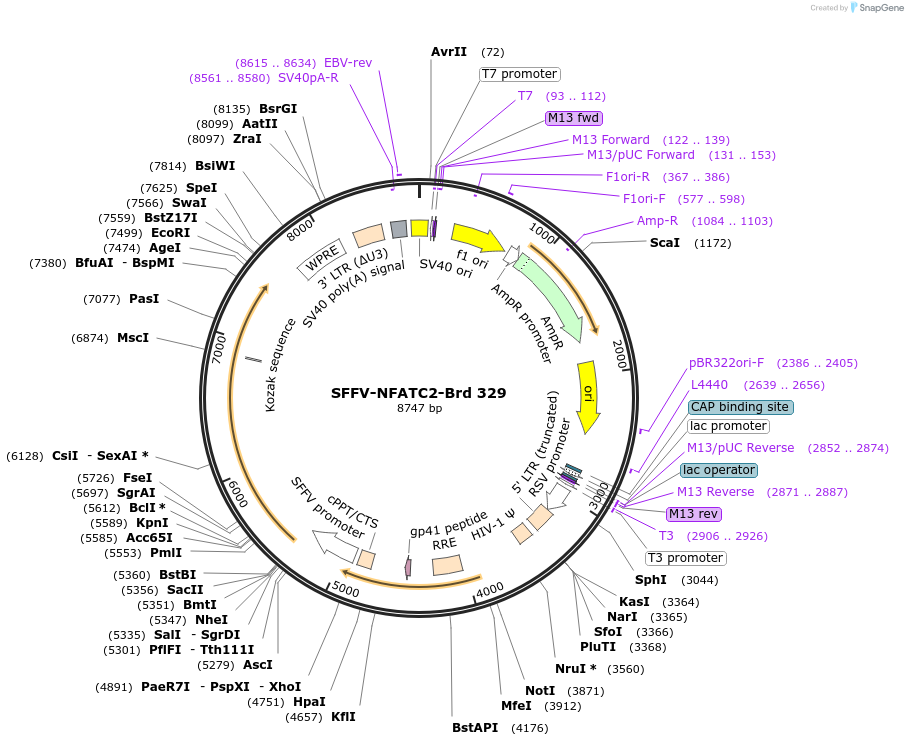 449019_map