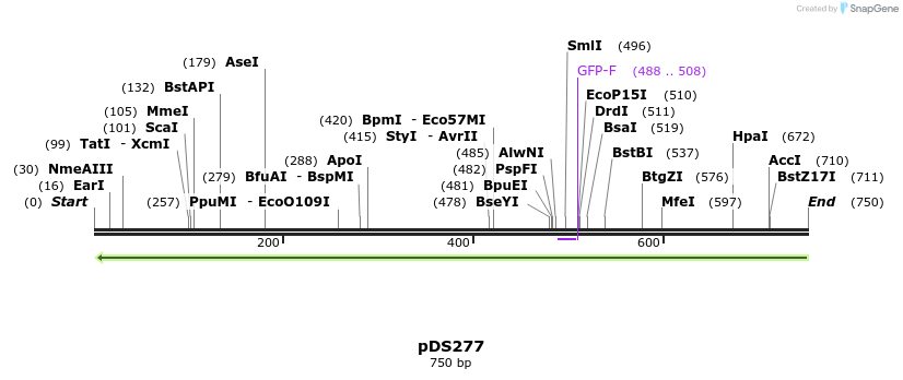 44903_map