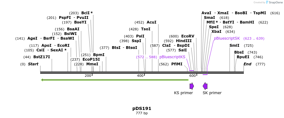 44907_map