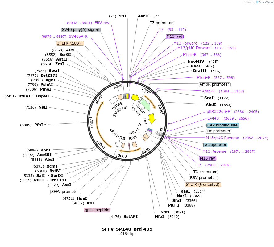 449072_map