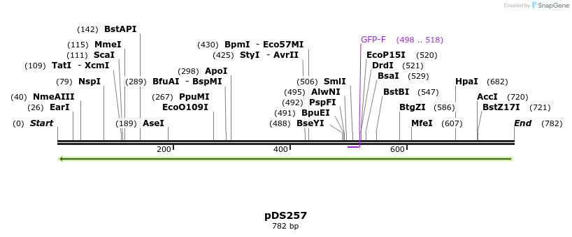 44910_map