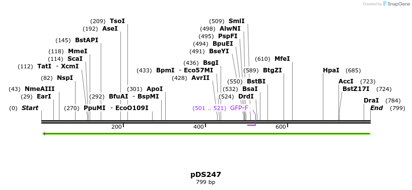 44917_map