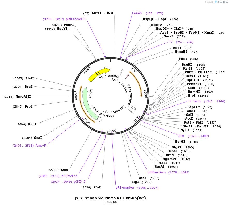 449171_map