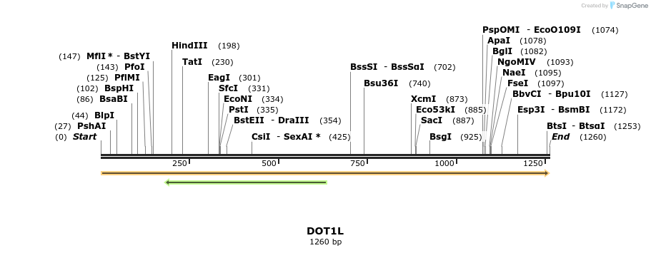 44918_map