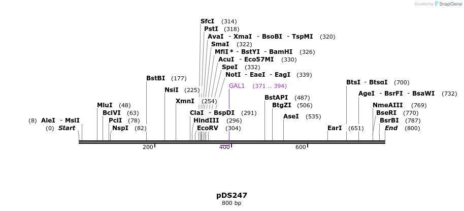 44919_map
