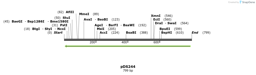 44920_map
