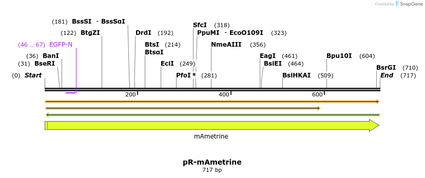 449201_map