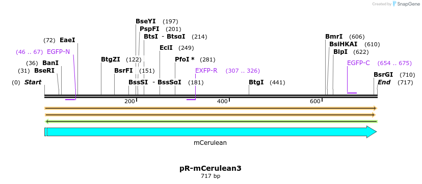 449202_map