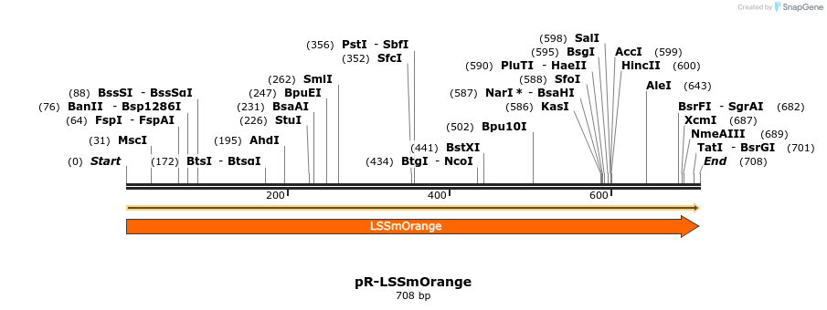 449203_map