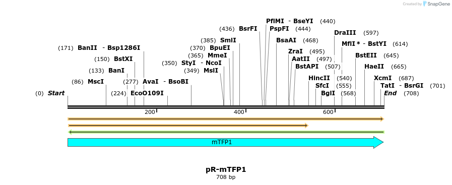 449205_map