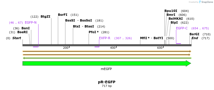 449206_map