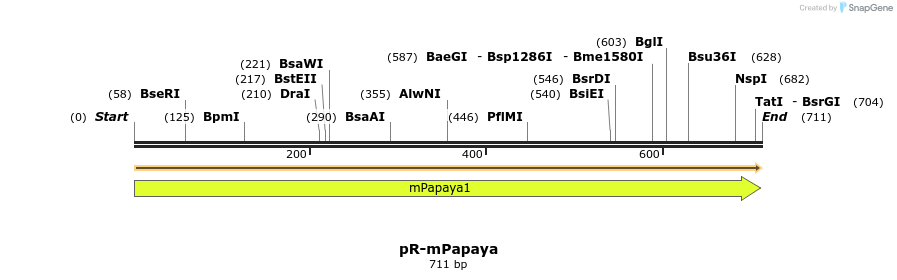 449210_map