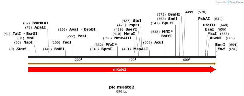 449213_map
