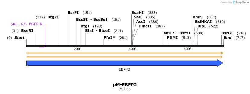 449216_map