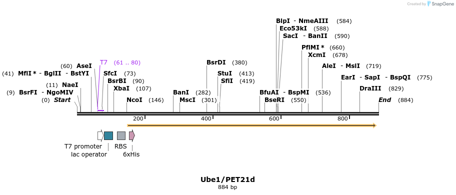 44922_map