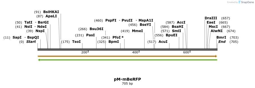 449222_map