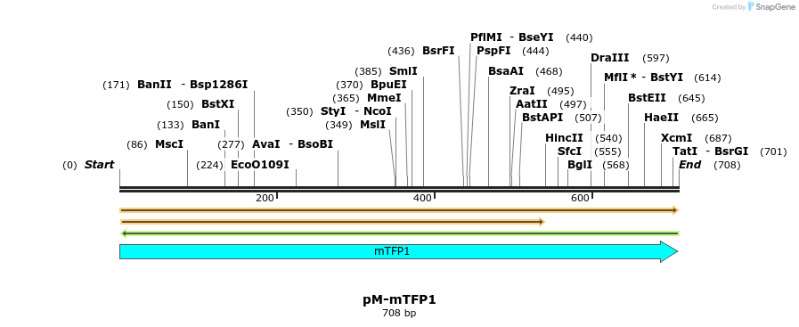 449223_map