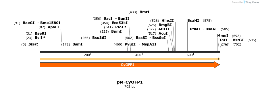 449225_map