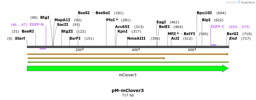 449226_map