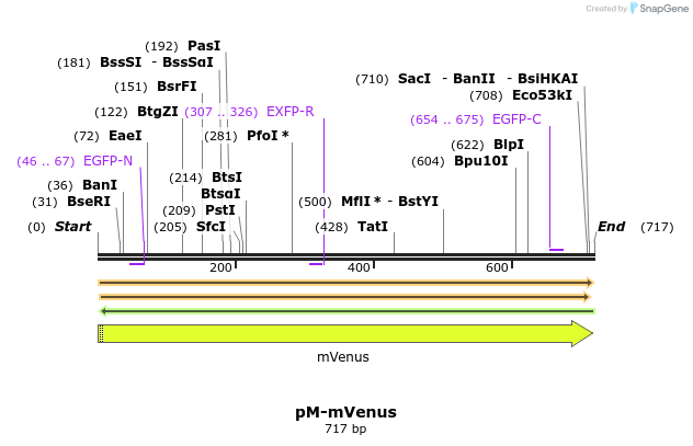 449227_map