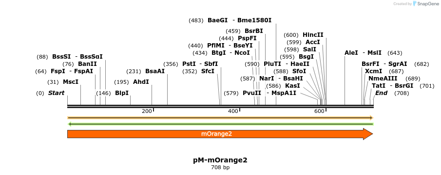 449229_map