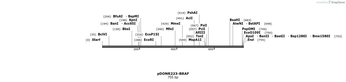44923_map