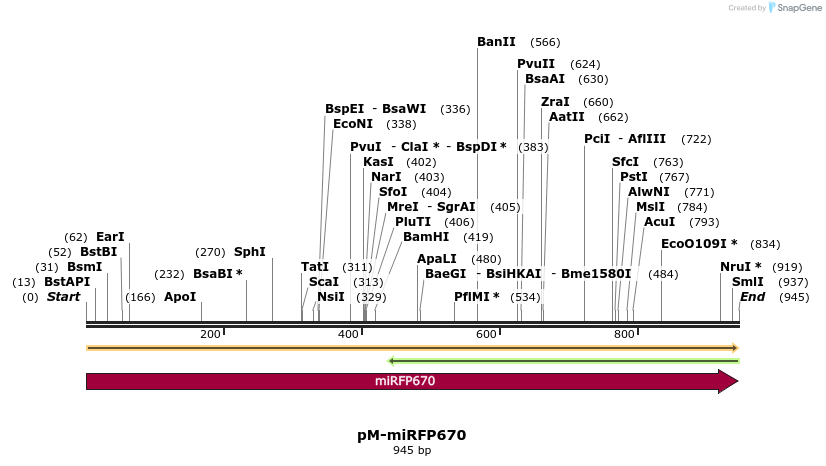 449233_map