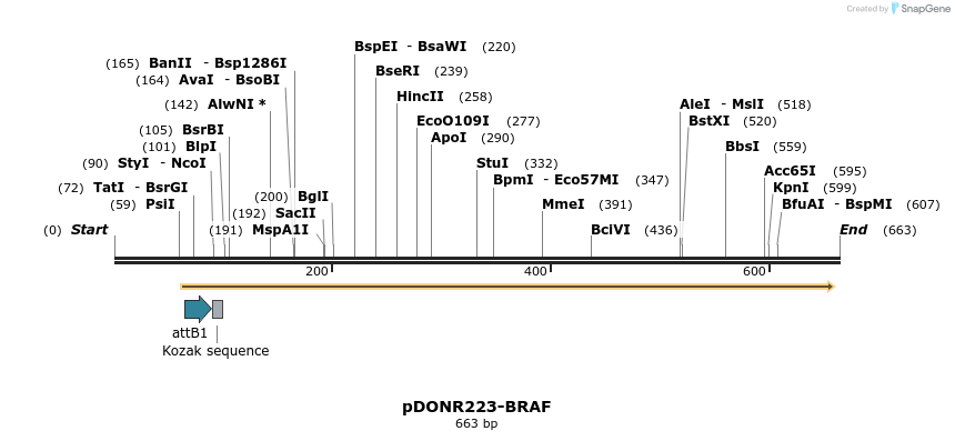 44924_map