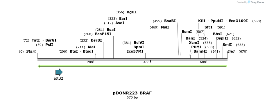 44925_map